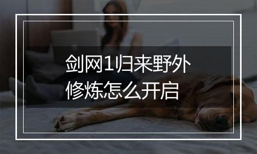 剑网1归来野外修炼怎么开启