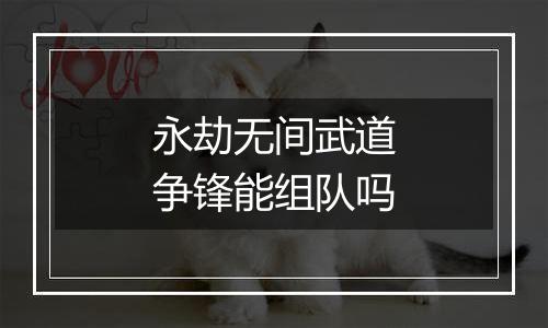 永劫无间武道争锋能组队吗