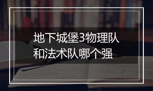 地下城堡3物理队和法术队哪个强