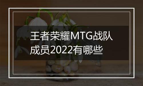 王者荣耀MTG战队成员2022有哪些