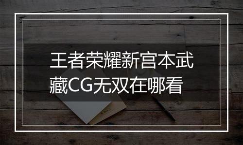 王者荣耀新宫本武藏CG无双在哪看