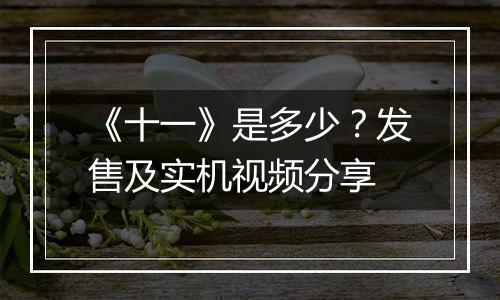《十一》是多少？发售及实机视频分享