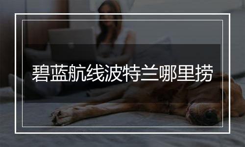 碧蓝航线波特兰哪里捞