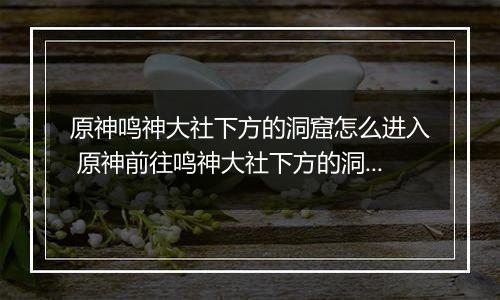 原神鸣神大社下方的洞窟怎么进入 原神前往鸣神大社下方的洞窟攻略