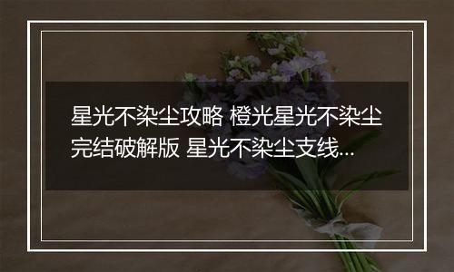 星光不染尘攻略 橙光星光不染尘完结破解版 星光不染尘支线任务攻略