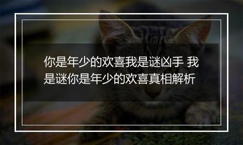 你是年少的欢喜我是谜凶手 我是谜你是年少的欢喜真相解析
