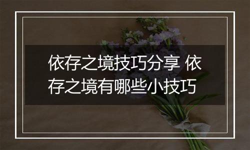 依存之境技巧分享 依存之境有哪些小技巧