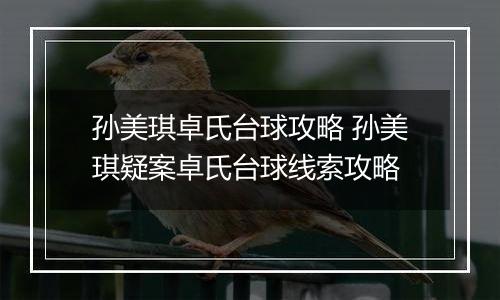 孙美琪卓氏台球攻略 孙美琪疑案卓氏台球线索攻略