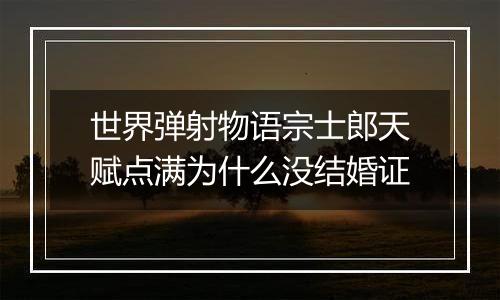 世界弹射物语宗士郎天赋点满为什么没结婚证