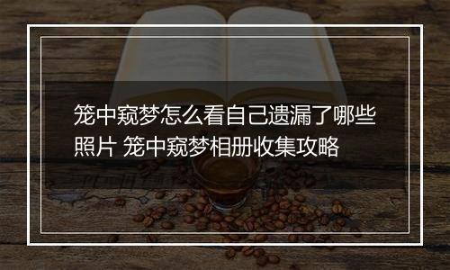 笼中窥梦怎么看自己遗漏了哪些照片 笼中窥梦相册收集攻略