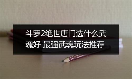 斗罗2绝世唐门选什么武魂好 最强武魂玩法推荐