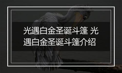光遇白金圣诞斗篷 光遇白金圣诞斗篷介绍
