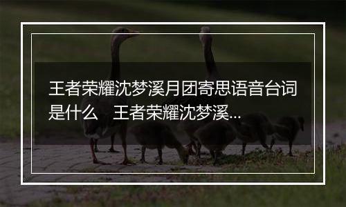 王者荣耀沈梦溪月团寄思语音台词是什么   王者荣耀沈梦溪月团寄思特效语音大全