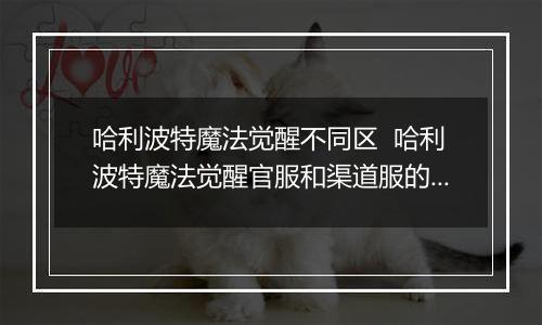 哈利波特魔法觉醒不同区  哈利波特魔法觉醒官服和渠道服的区别盘点