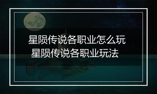 星陨传说各职业怎么玩  星陨传说各职业玩法