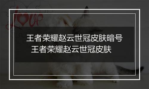 王者荣耀赵云世冠皮肤暗号  王者荣耀赵云世冠皮肤