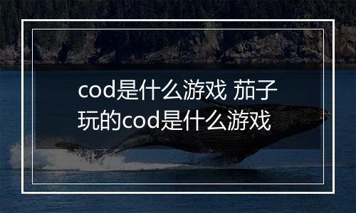 cod是什么游戏 茄子玩的cod是什么游戏