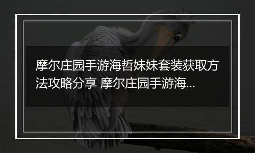摩尔庄园手游海哲妹妹套装获取方法攻略分享 摩尔庄园手游海蜇妹妹套装怎么获得