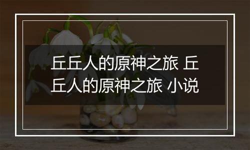 丘丘人的原神之旅 丘丘人的原神之旅 小说