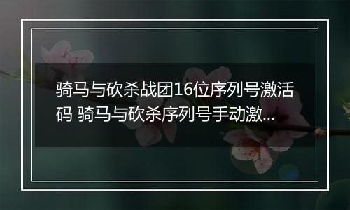 骑马与砍杀战团16位序列号激活码 骑马与砍杀序列号手动激活 骑马与砍杀免费序列号