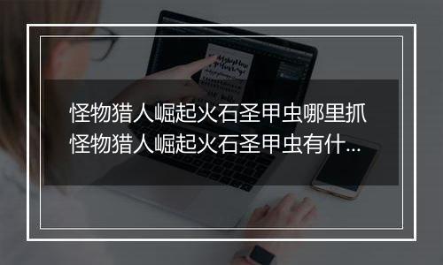 怪物猎人崛起火石圣甲虫哪里抓 怪物猎人崛起火石圣甲虫有什么用