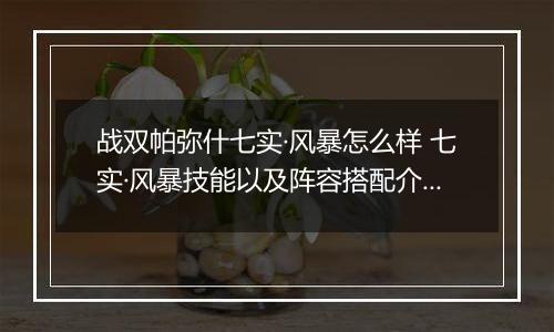 战双帕弥什七实·风暴怎么样 七实·风暴技能以及阵容搭配介绍