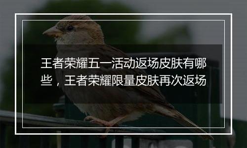 王者荣耀五一活动返场皮肤有哪些，王者荣耀限量皮肤再次返场