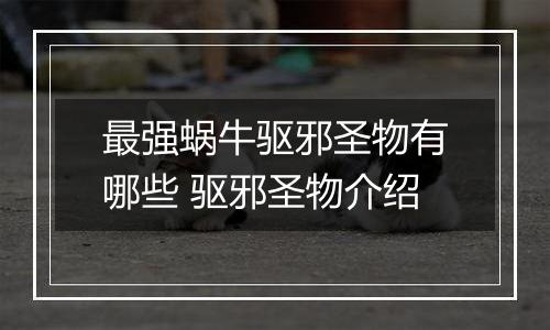 最强蜗牛驱邪圣物有哪些 驱邪圣物介绍