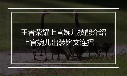 王者荣耀上官婉儿技能介绍 上官婉儿出装铭文连招
