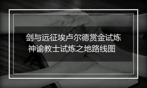 剑与远征埃卢尔德赏金试炼 神谕教士试炼之地路线图