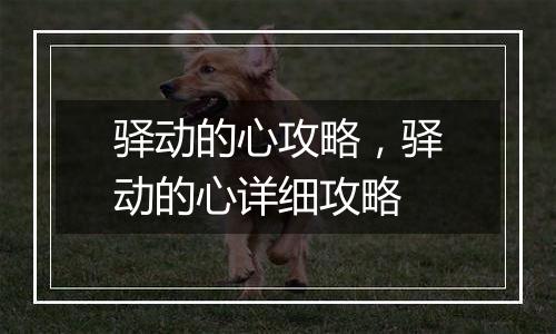 驿动的心攻略，驿动的心详细攻略