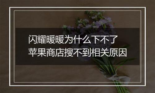 闪耀暖暖为什么下不了 苹果商店搜不到相关原因