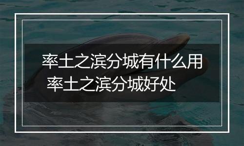 率土之滨分城有什么用 率土之滨分城好处