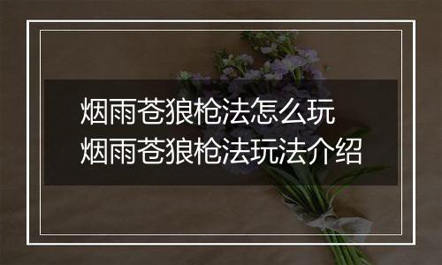 烟雨苍狼枪法怎么玩 烟雨苍狼枪法玩法介绍