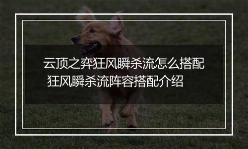 云顶之弈狂风瞬杀流怎么搭配 狂风瞬杀流阵容搭配介绍