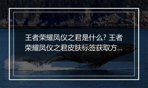 王者荣耀凤仪之君是什么? 王者荣耀凤仪之君皮肤标签获取方法