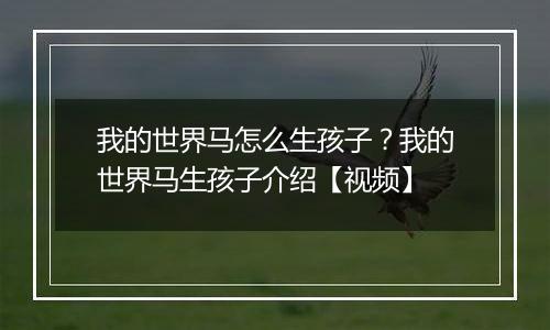 我的世界马怎么生孩子？我的世界马生孩子介绍【视频】