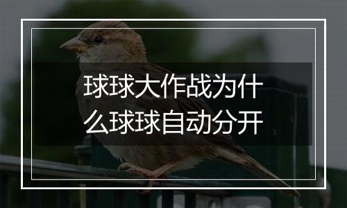 球球大作战为什么球球自动分开
