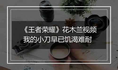 《王者荣耀》花木兰视频 我的小刀早已饥渴难耐