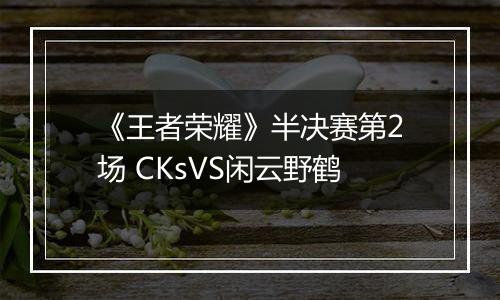 《王者荣耀》半决赛第2场 CKsVS闲云野鹤