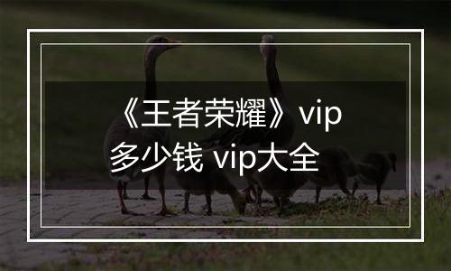 《王者荣耀》vip多少钱 vip大全