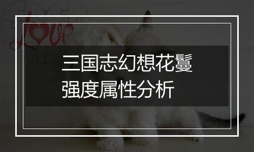 三国志幻想花鬘强度属性分析