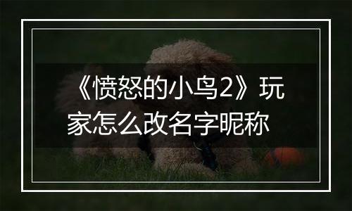 《愤怒的小鸟2》玩家怎么改名字昵称
