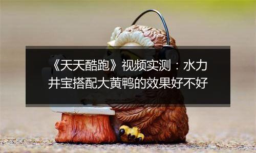 《天天酷跑》视频实测：水力井宝搭配大黄鸭的效果好不好