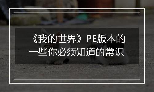 《我的世界》PE版本的一些你必须知道的常识