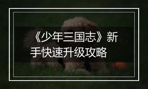 《少年三国志》新手快速升级攻略