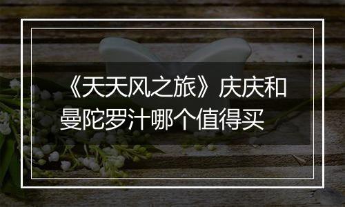 《天天风之旅》庆庆和曼陀罗汁哪个值得买