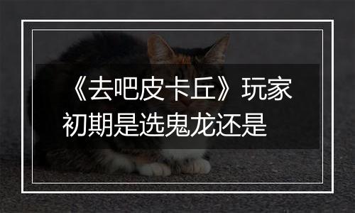 《去吧皮卡丘》玩家初期是选鬼龙还是