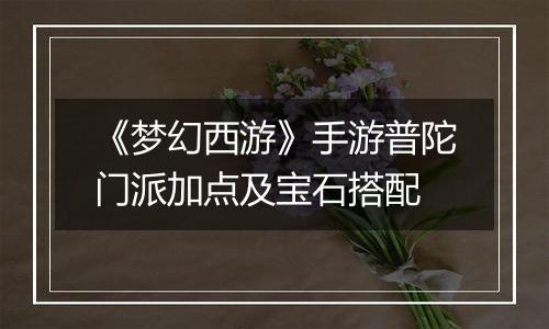《梦幻西游》手游普陀门派加点及宝石搭配