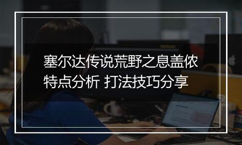 塞尔达传说荒野之息盖侬特点分析 打法技巧分享